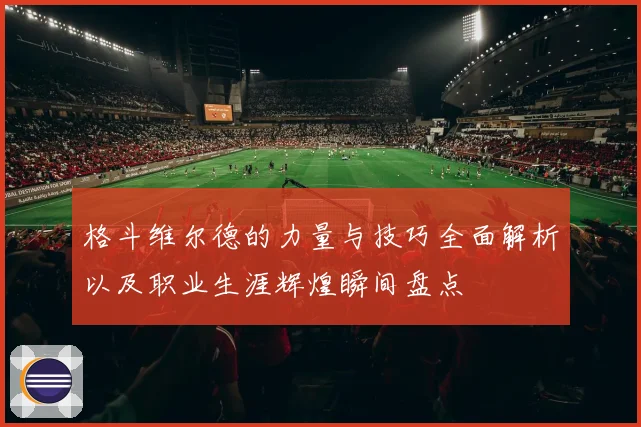 格斗维尔德的力量与技巧全面解析以及职业生涯辉煌瞬间盘点