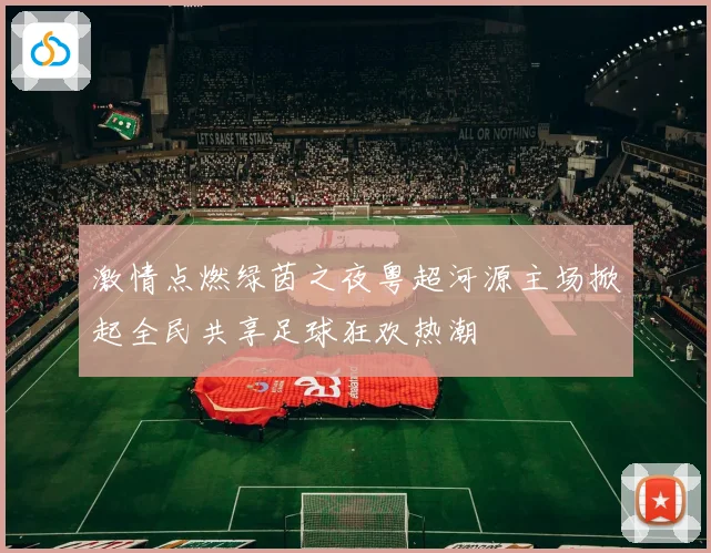激情点燃绿茵之夜粤超河源主场掀起全民共享足球狂欢热潮