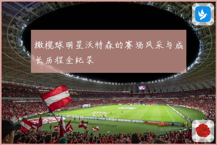 橄榄球明星沃特森的赛场风采与成长历程全纪录