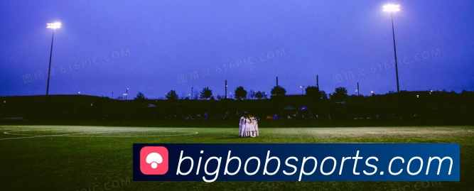 BOB体育 - 全新体育平台 - 热门联赛内容持续推送 Slide 1